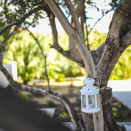 Apartament Sesar Banjol