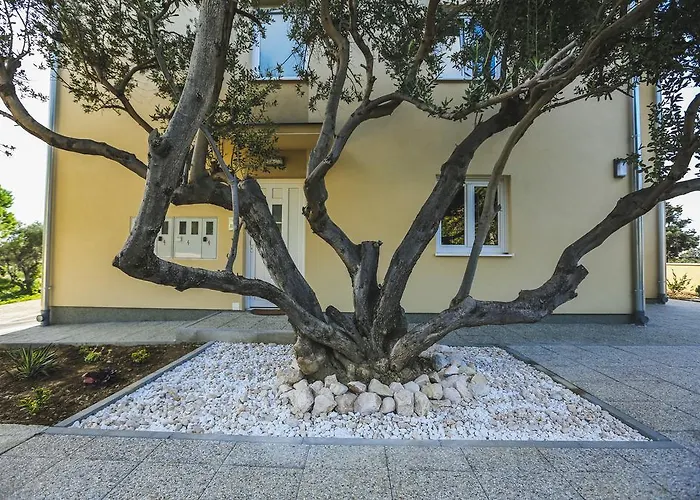 Sesar Lägenhet Banjol